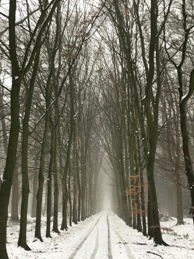 B&B 'Het Gripshuis' Vught Luaran gambar