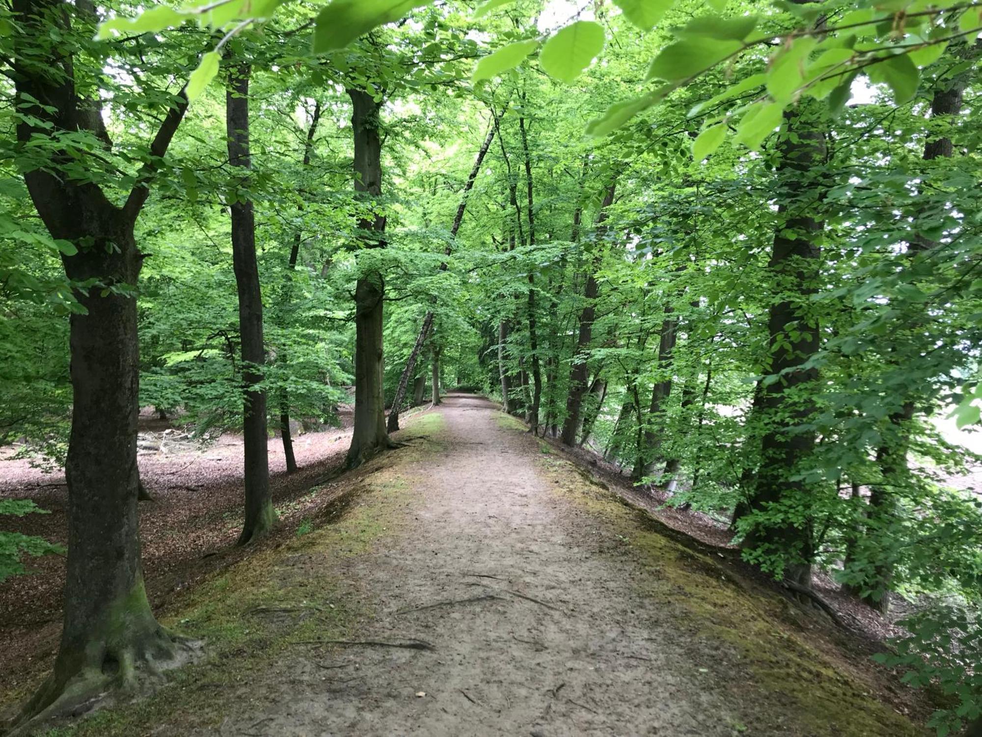 B&B 'Het Gripshuis' Vught Luaran gambar