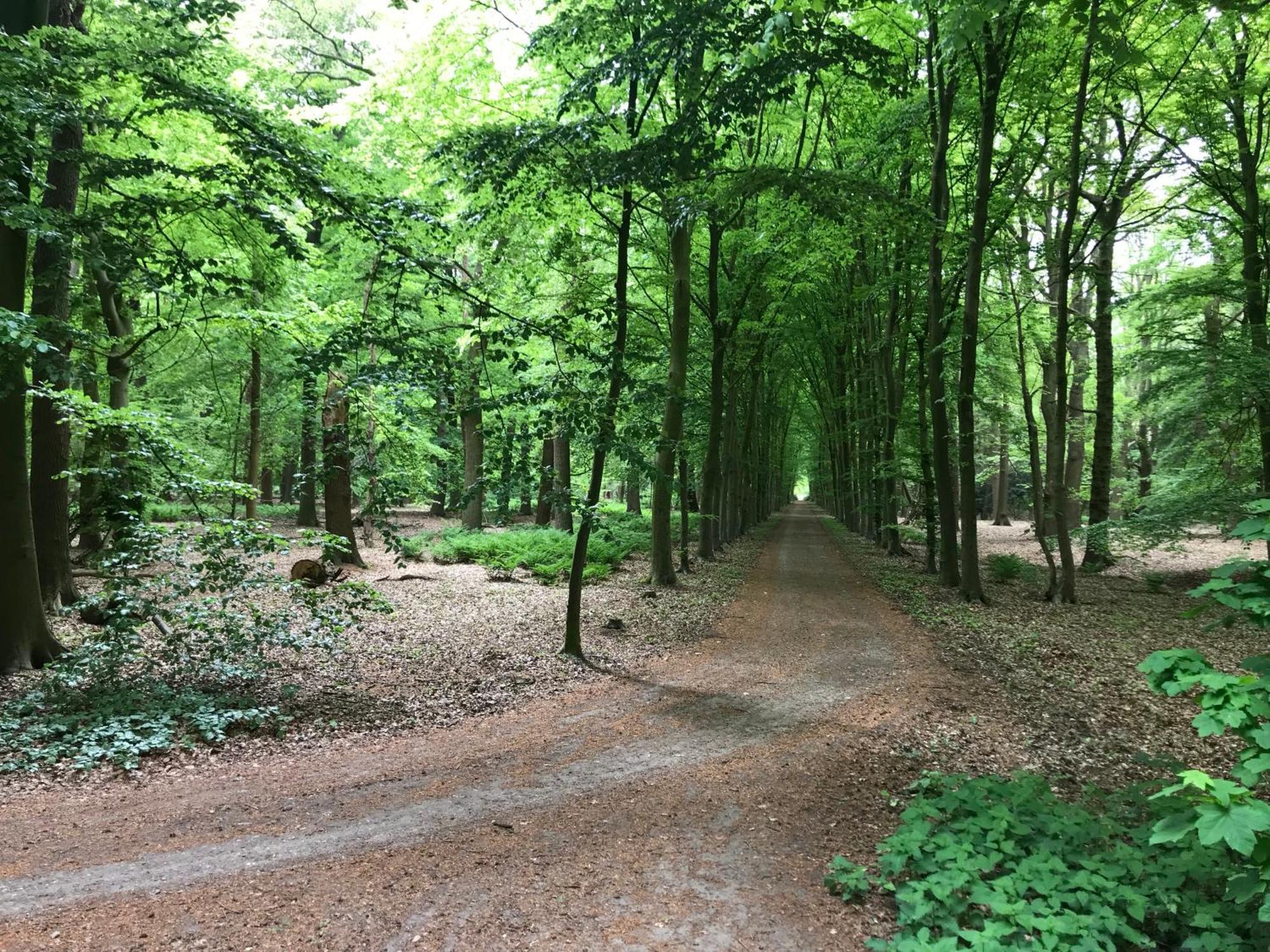 B&B 'Het Gripshuis' Vught Luaran gambar